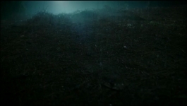 Dynasty - Season 05 Episode 22